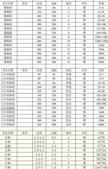 全国树苗市场行情如何 沉香苗多少钱一颗沉香树树苗价格行情
