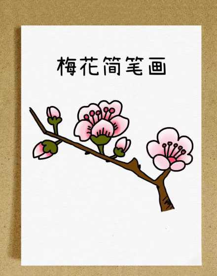 梅花的叶子怎么画简单 梅花树的叶子是什么形状