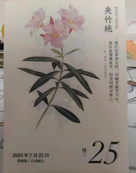 夹竹桃花有什么好处吗 夹竹桃的花有毒吗
