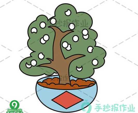 金桔树怎么画简单好看 金桔树怎么修剪