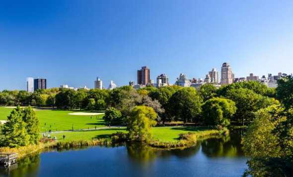 纽约公园是哪个设计的 详细的介绍下美国纽约的洛克公园..