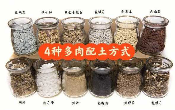 北方北方多肉土怎么配 北方多肉用什么土好