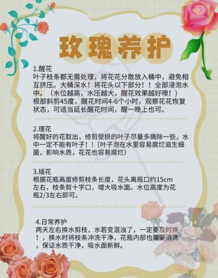 玫瑰适合什么时间栽种 玫瑰花什么季节种植最好,玫瑰花适合在什么时候栽