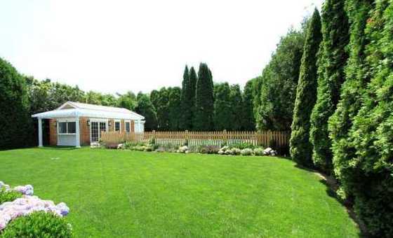 别墅小花园种什么草好 新房有个小花园,小花园栽什么草比较好养活