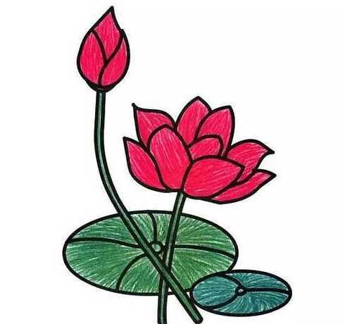 幼儿园夏天的花草简单画 以夏天为主题的幼儿园教案