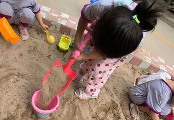 农村沙土地适合做什么 你知道农村的沙土地上都可以种植哪些植物吗