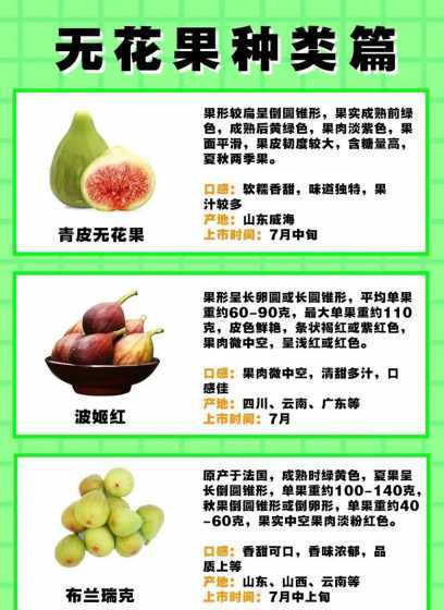 花果为什么叫无花果呢 我的无花果树怎么不结果子,只长个子