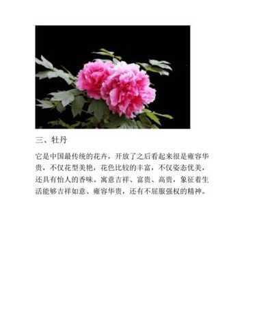 小孩适合什么花的寓意 给闺女送什么花寓意好,适合送给女儿的花