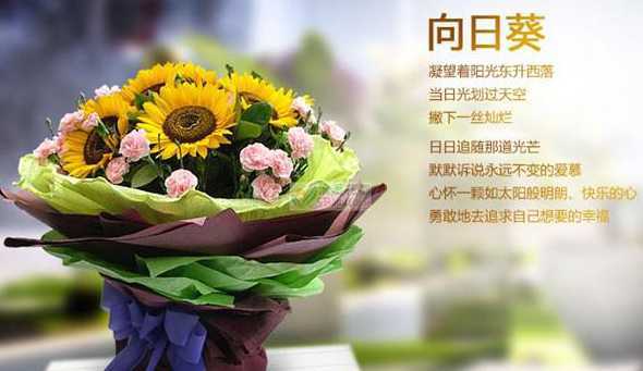 向日葵鲜花为什么疯狂 向日葵鲜花如何水养,4个步骤水中养活向日葵