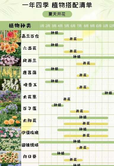 还有几月什么花怎么养 什么季节养什么花