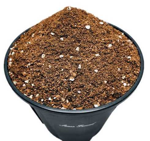 家庭盆栽果树用什么土 盆栽果树营养土如何配制