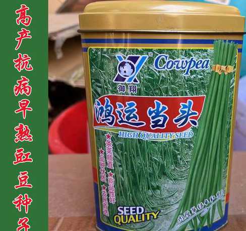 鸿运当头种子什么样子 大门两侧种什么花旺宅