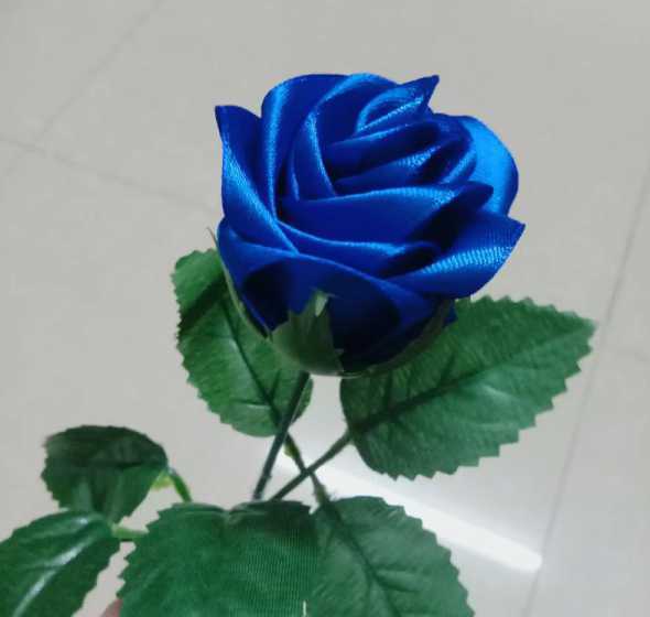 什么花可以做蓝色妖姬 蓝色妖姬是什么花