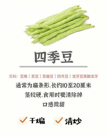 豆角什么季节种最合适 豆角几月份种植最好,什么时候种最合适