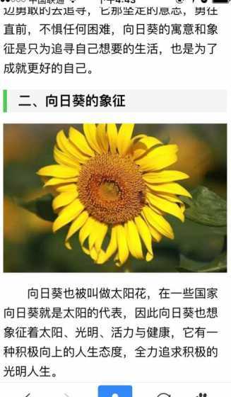 向日葵花象征什么意义 向日葵代表什么花语