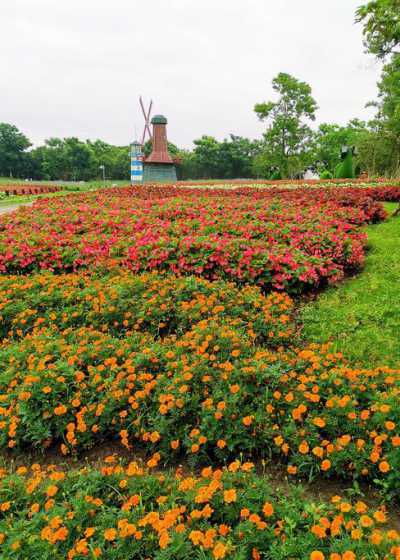 上海近郊有什么花草美景 描写花草美景的诗句