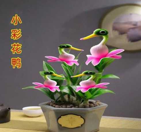 院子适合种什么小盆栽 小院子适合种什么花