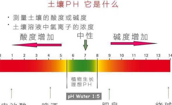怎么改善土壤的酸碱性 怎样控制土壤酸碱性