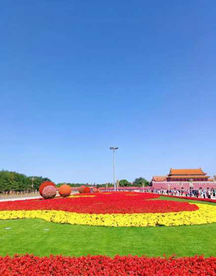 五一花坛应该种什么花 花坛、花境的植物用哪些