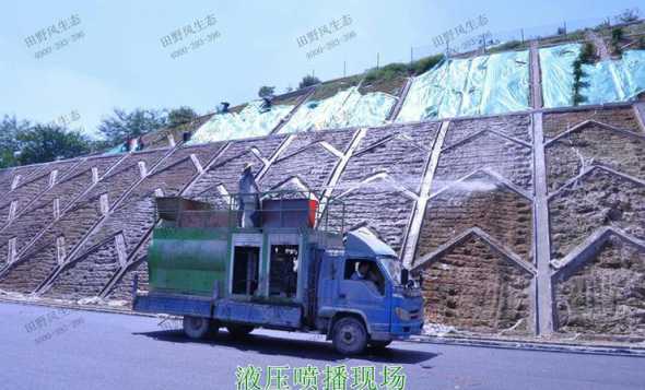 什么是喷播法建植草坪 草坪建植方法有哪些