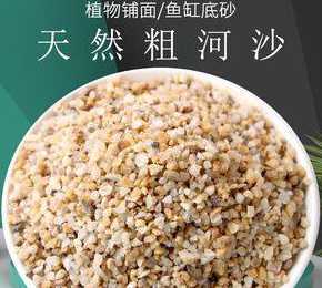 养花的沙子是什么沙子 沙子可以种花吗
