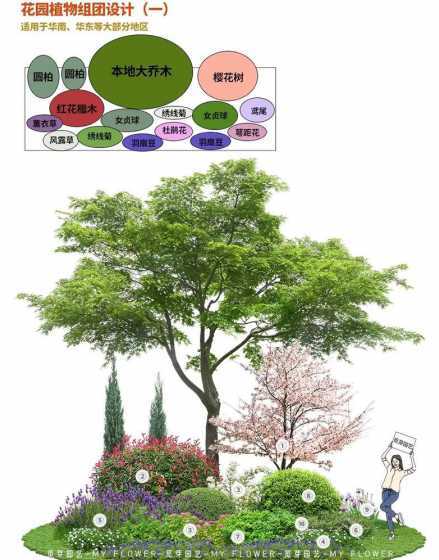 植物组团配置哪些植物 居住区景观设计植物配置要领