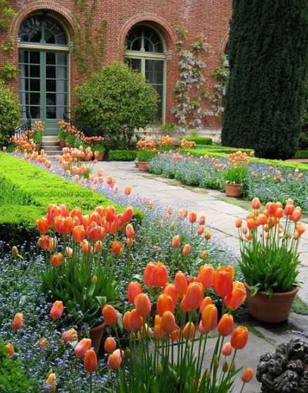 路边花园种什么花好看 院子里适合种什么花呢