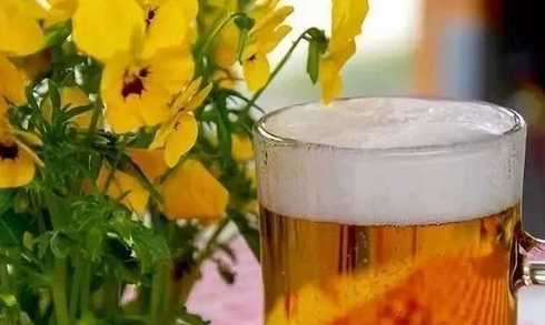 什么花用啤酒浇长得好 什么花用啤酒浇长的好