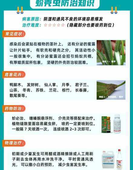 养花中的害虫怎么清除 怎样消灭花盆土里的虫子