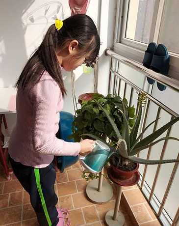 给植物浇温水会怎么样 为什么..不能用热水浇花.. 如果用冷水浇花 会怎么样.