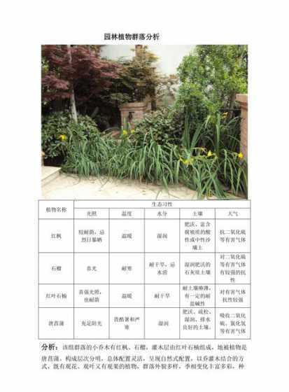 植物群落配置注意什么 阳生植物在群落配置中的应用