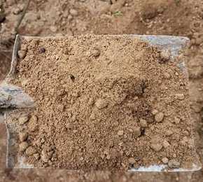 种植盆栽需要什么土壤 盆栽竹子适合什么土壤种植