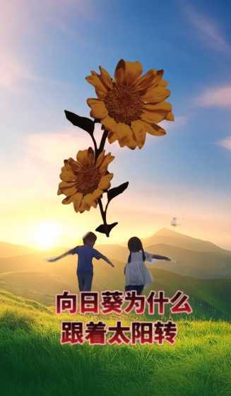 向日葵为什么会跟着他 为什么向日葵总是朝着太阳转
