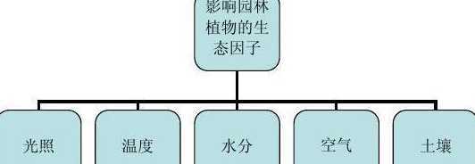影响花卉生长的环境因素 影响花卉生长发育的环境因素有哪些