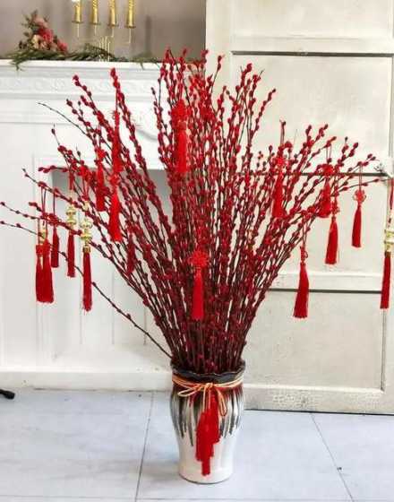 过春节应该养什么花好 春节适合养什么花