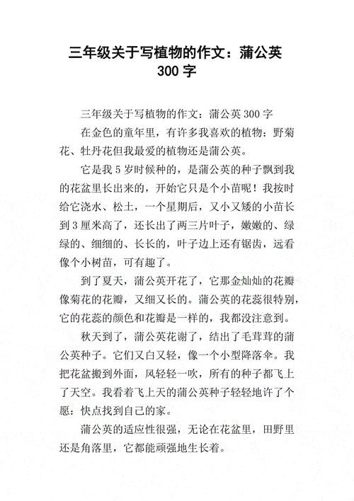 可爱的蒲公英花怎么写 可爱的蒲公英作文怎么写不少于三百字
