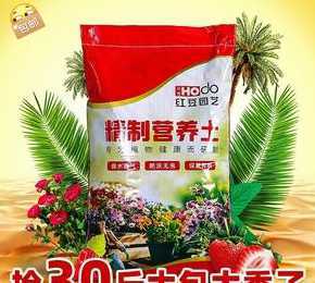 养花用的营养豆是什么 养花用的豆饼,是什么
