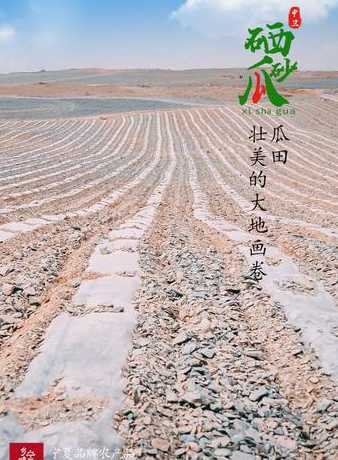 沙土地种了什么农作物 沙土地适宜种植什么农作物