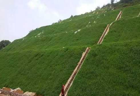 高速护坡上喷草叫什么 草坪在高速路护坡中怎么运用
