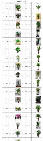 单位植物租摆怎么收费 植物租赁包括的内容有哪些