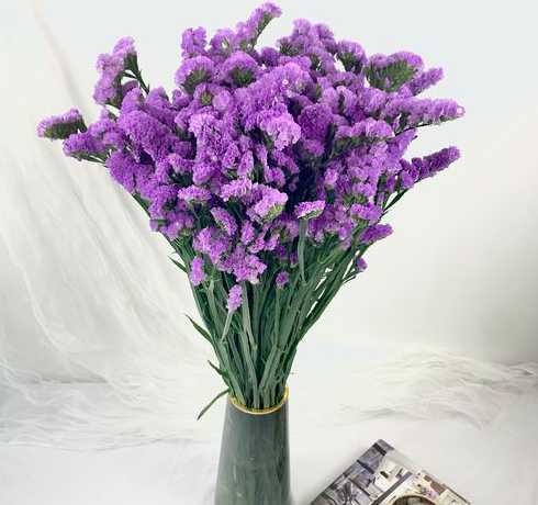 勿忘我为什么能做干花 勿忘我怎么做干花
