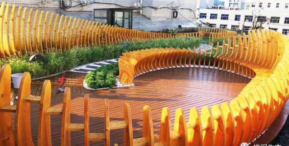 屋顶花园地被都用什么 楼顶花园适合种什么植物 屋顶花园植物选择要求