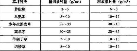 草种播种多少一平方米 一斤草籽能种多少面积 草籽的种植方法