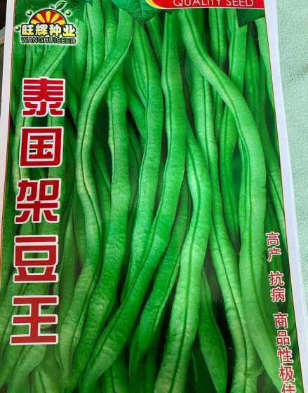 架豆王豆角籽什么颜色 老师好,架豆王缩节打增瓜灵行