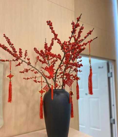 室内过年适合放什么花 春节摆放什么花吉利