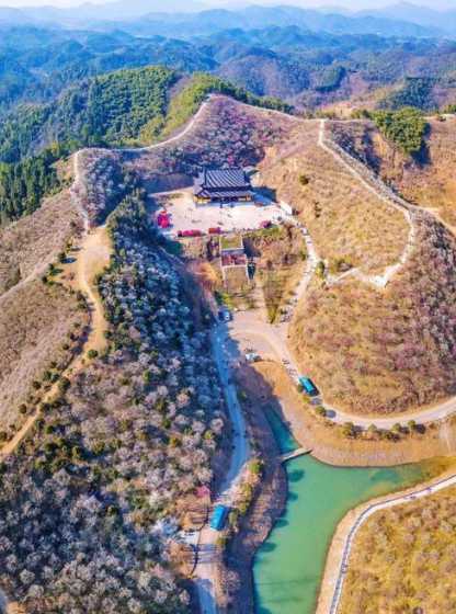 湖州的红梅基地在哪里 杨梅之乡是哪里