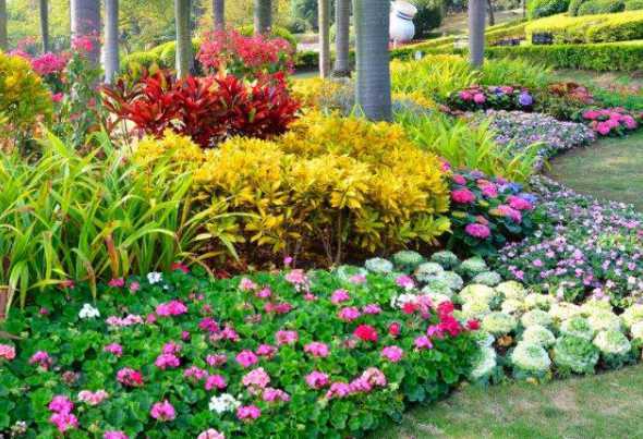 私家花园种植什么植物 私家院子种什么树好