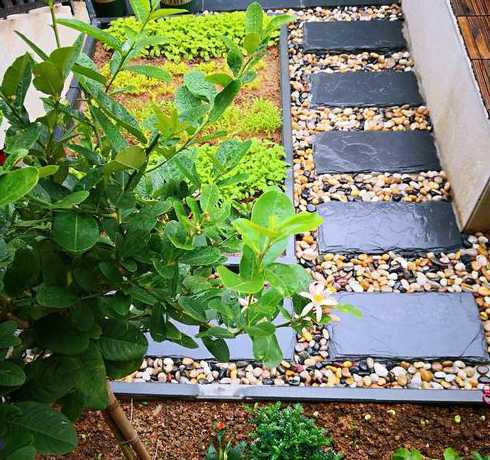 庭院草坪边缘铺什么砖 家庭庭院什么草坪好