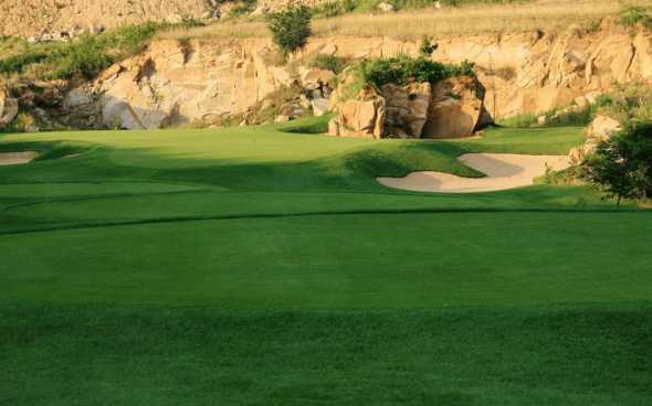 高尔夫球场种什么草种 高尔夫球场草坪草品种