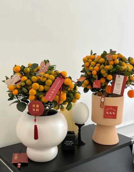 金桔配什么花寓意较好 金桔的花期是什么时候
